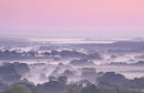 Misty dawn over the Isle of Purbeck